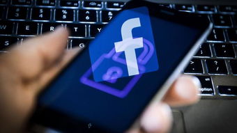 從教訓到行動 Facebook收購網絡安全公司的戰(zhàn)略意圖與上海網絡信息安全軟件開發(fā)的機遇